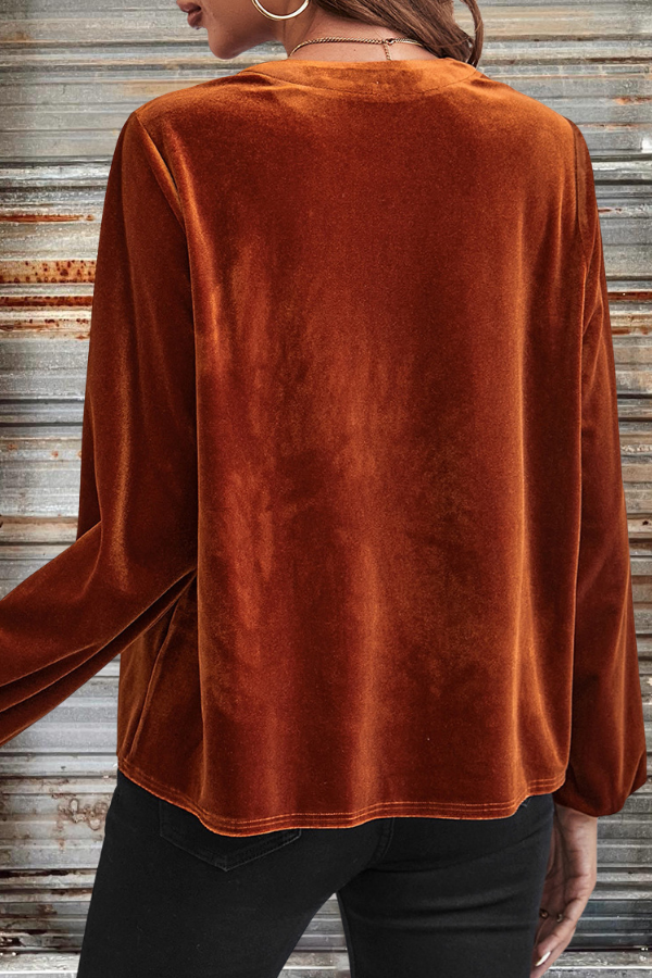 Velvet Lantern Sleeve Blouse
