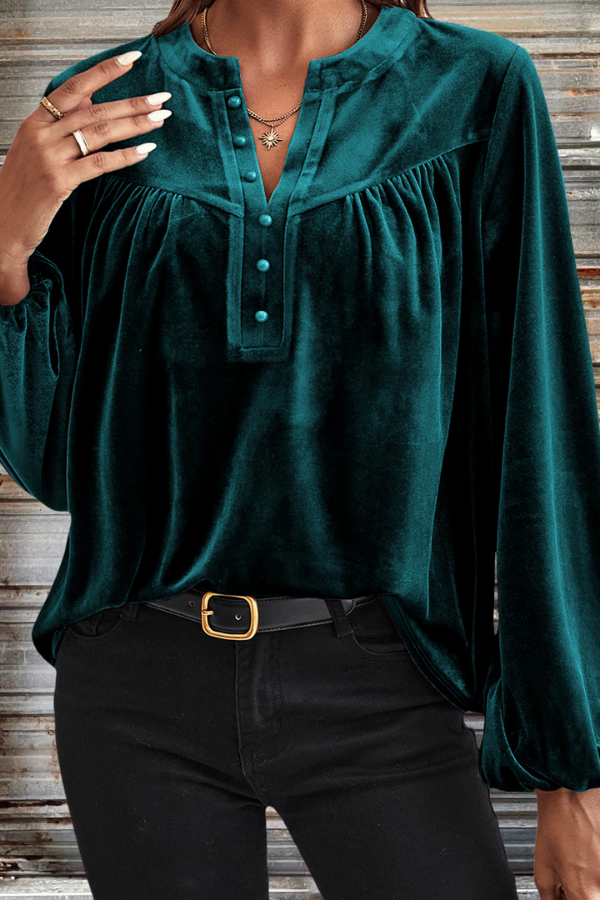 Velvet Lantern Sleeve Blouse