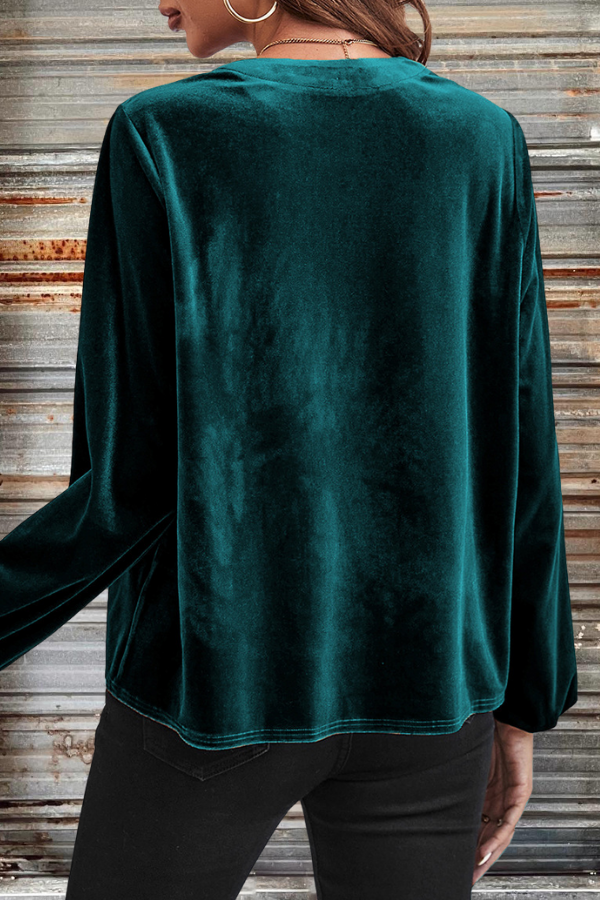 Velvet Lantern Sleeve Blouse